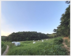  2024Ÿ13025  ֽ  39-1       (Ӿ)