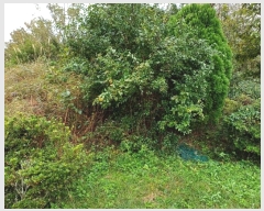  2024Ÿ14028  ֽ   177      (1)