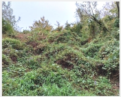  2024Ÿ14028  ֽ   177      (1)