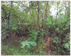  2024Ÿ14028  ֽ   177      (1)