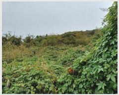  2024Ÿ14028  ֽ   177      (1)