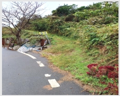  2024Ÿ14028  ֽ   177      (1)