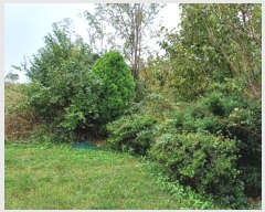  2024Ÿ14028  ֽ   177      (1)