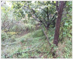  2024Ÿ14028  ֽ   177      (1)