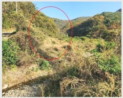  2024Ÿ14363  ֽ   1345      ()