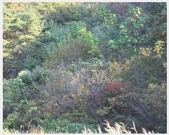  2024Ÿ14363  ֽ   1345      ()