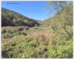  2024Ÿ14363  ֽ   1345      ()