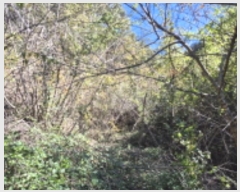  2024Ÿ14363  ֽ   1345      ()