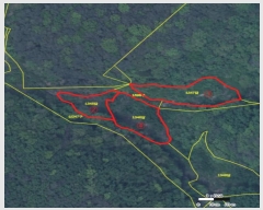  2024Ÿ14363  ֽ   1345      ()