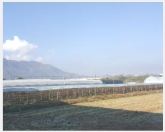  2024Ÿ��14448 ��� ���ֽ� ��õ�� õ���� 875-10      ����(��)���