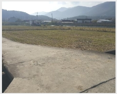  2024Ÿ��14448  ����