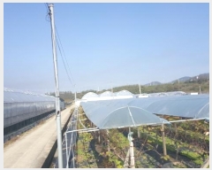  2024Ÿ��14448  ����