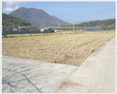  2024Ÿ��14448  ����