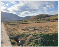  2024Ÿ14684  ֽ õ  334-10      ()