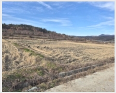  2024Ÿ14684  ֽ õ  334-10      ()