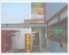  2024Ÿ999  ֽ õ 809       ,â