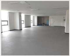  2024Ÿ1558  ֽ  249, 4 403ȣ     ,繫ǰ