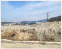  2024Ÿ3899  ֽ 嵿 1062-37       (Ӿ)