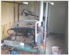  2024Ÿ12336  ֽ   138      