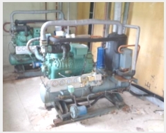  2024Ÿ12336  ֽ   138      