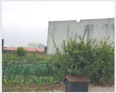  2024Ÿ12336  ֽ   138      