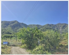  2024Ÿ14127  ֽ õ  999-1      (1)