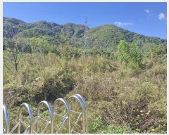  2024Ÿ14127  ֽ õ  999-1      (1)