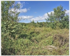  2024Ÿ14127  ֽ õ  999-1      (1)