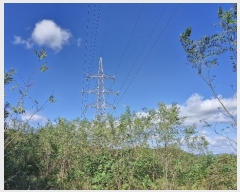  2024Ÿ14127  ֽ õ  999-1      (1)