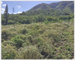  2024Ÿ14127  ֽ õ  999-1      (1)