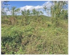  2024Ÿ14127  ֽ õ  999-1      (1)