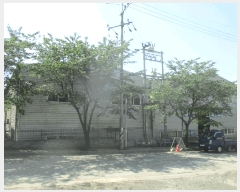  2024Ÿ��814 ��� ���ֽ� õ�ϸ� ���߸� 1383-3      ������