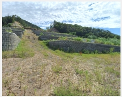  2024Ÿ2568  ֽ 糲 ⱸ 72      (Ӿ)