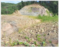  2024Ÿ2568  ֽ 糲 ⱸ 72      (Ӿ)