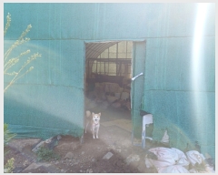  2024Ÿ2568  ֽ 糲 ⱸ 72      (Ӿ)