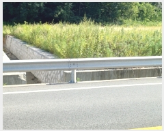  2024Ÿ2568  ֽ 糲 ⱸ 72      (Ӿ)