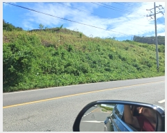  2024Ÿ2568  ֽ 糲 ⱸ 72      (Ӿ)