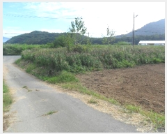  2024Ÿ2681  ֽ ܵ  498      