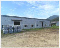  2024Ÿ2681  ֽ ܵ  498      