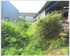  2024Ÿ2681  ֽ ܵ  498      