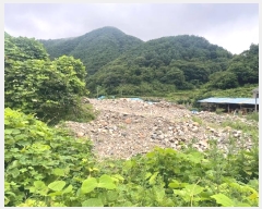  2024Ÿ��12602 ��� ���ֽ� Ȳ�뵿 107       ����(��1)���