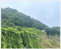  2024Ÿ��12602 ��� ���ֽ� Ȳ�뵿 107       ����(��1)���