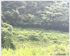  2024Ÿ��12602 ��� ���ֽ� Ȳ�뵿 107       ����(��1)���