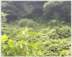  2024Ÿ��12602 ��� ���ֽ� Ȳ�뵿 107       ����(��1)���