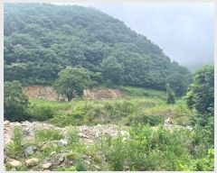  2024Ÿ��12602 ��� ���ֽ� Ȳ�뵿 107       ����(��1)���