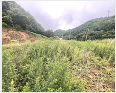  2024Ÿ��12602 ��� ���ֽ� Ȳ�뵿 107       ����(��1)���