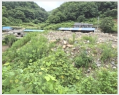  2024Ÿ��12602 ��� ���ֽ� Ȳ�뵿 107       ����(��1)���