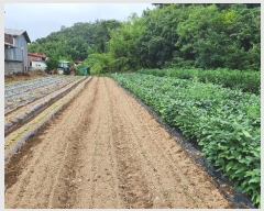  2024Ÿ��13537 ��� ���ֽ� ���嵿 867-2       ����(��)���