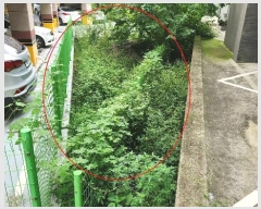  2024Ÿ��13537 ��� ���ֽ� ���嵿 867-2       ����(��)���