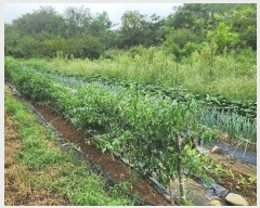  2024Ÿ��13537 ��� ���ֽ� ���嵿 867-2       ����(��)���